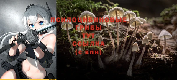 дурь Семилуки