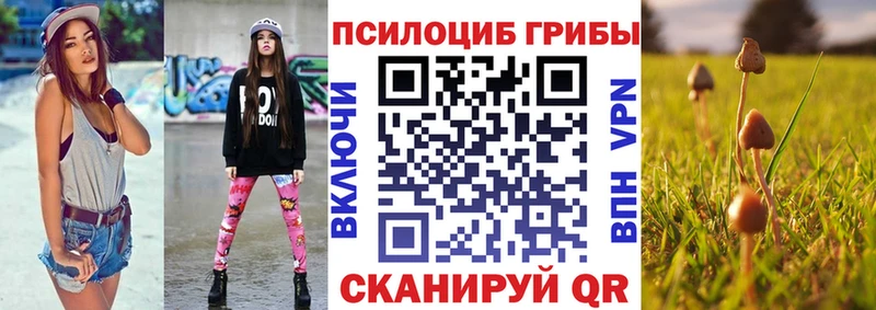 Галлюциногенные грибы MAGIC MUSHROOMS  дарнет шоп  Знаменск 